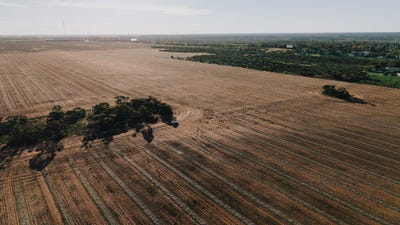 /international/au/stirlings-pompies-town-loxton-sa-700402864/