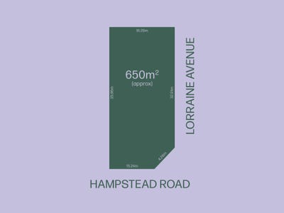 /international/au/47-hampstead-road-manningham-sa-204683824/