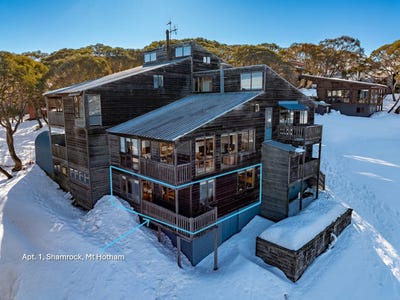/international/au/1-shamrock-mount-hotham-vic-151348292/