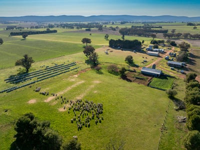 /international/au/501-mandagery-road-mandagery-nsw-700411240/