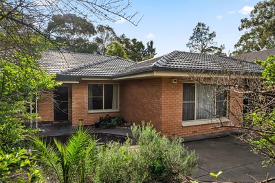/international/au/22-grandview-drive-tea-tree-gully-sa-151445808/