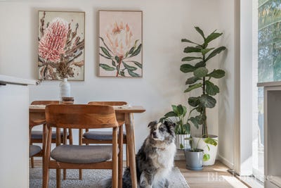 /international/au/21a-langworth-road-balcatta-wa-148682688/?lang=zh-tw