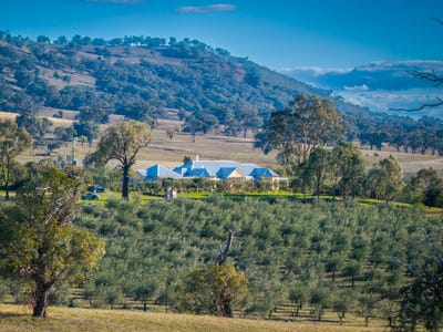 /international/au/25-mossy-rock-lane-monivae-nsw-700399800/