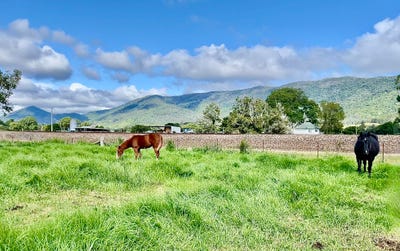 /international/au/1545-nowendoc-road-mount-george-nsw-151433280/