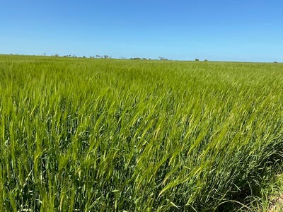 /international/au/542-adams-plain-road-wallaroo-plain-sa-700427820/