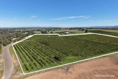 /international/au/lot-10-chardonnay-lane-cowra-nsw-700403940/