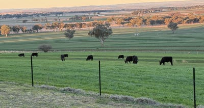 /international/au/1036-rob-roy-road-inverell-nsw-152395368/