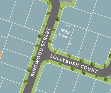 /international/au/lot-1699-lollybush-court-mount-low-qld-204372252/
