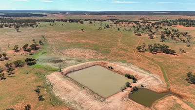 /international/au/-pinewood-wentworth-pooncarie-road-wentworth-nsw-700403384/