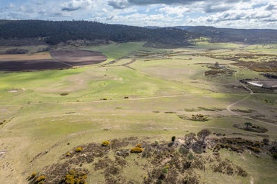 /international/au/-east-dundee-stonehenge-road-whitefoord-tas-700422492/