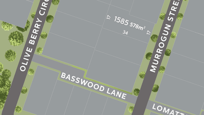 /international/au/lot-1585-murrogun-street-mount-low-qld-204274808/