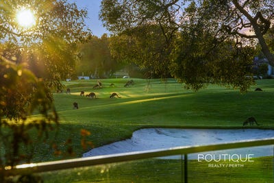 /international/au/12-77-hermitage-drive-the-vines-wa-152316616/