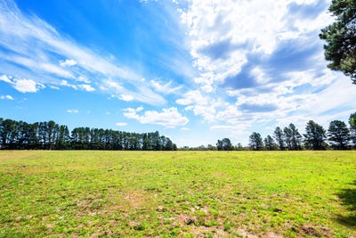 /international/au/1149-charleys-forest-braidwood-nsw-700403488/