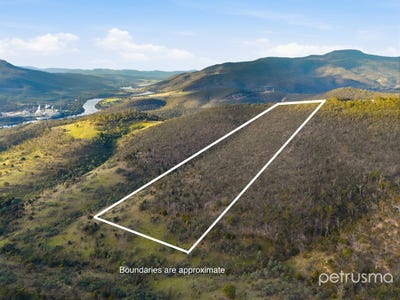 /international/au/209-haney-road-lachlan-tas-204547708/