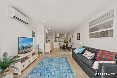 /international/au/11-35-torrens-street-braddon-act-151179592/