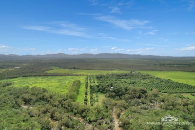 /international/au/346-roiko-road-mareeba-qld-700399796/