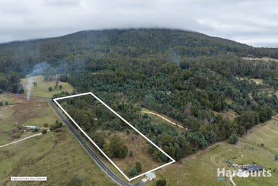 /international/au/lot-8-wattle-lea-road-golden-valley-tas-204520460/