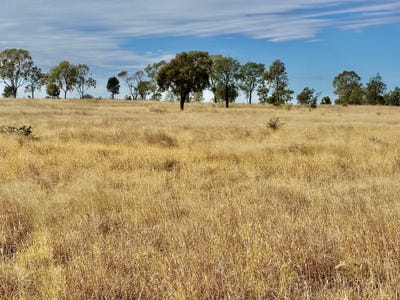 /international/au/174-gammie-plain-lane-roma-qld-roma-qld-700407088/