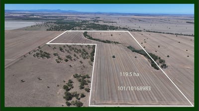 /international/au/lot-101-dp-1168983-cheecome-road-moree-nsw-700401616/
