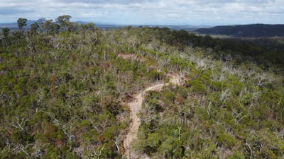 /international/au/lot-77-pacific-drive-deepwater-qld-700429780/