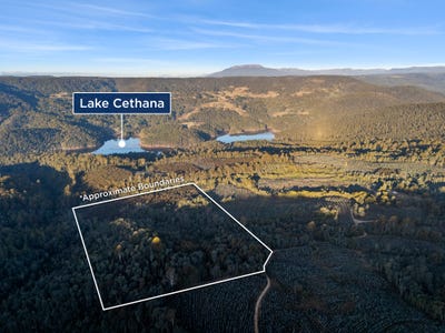 /international/au/dolcoath-road-moina-tas-700368164/?lang=en