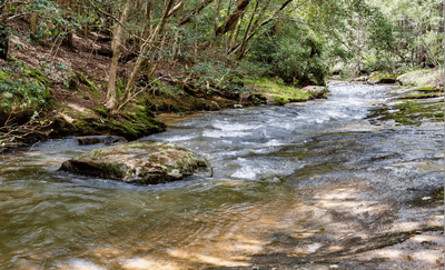 /international/au/194-bendeela-road-kangaroo-valley-nsw-148436104/