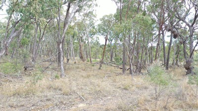 /international/au/lot-3-halls-creek-road-halls-creek-nsw-700412236/