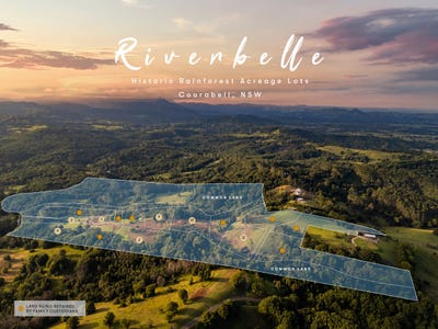 /international/au/lot-4-409-coorabell-road-coorabell-nsw-204533580/