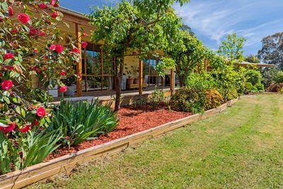 /international/au/97-highton-lane-mansfield-vic-152725860/