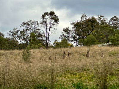 /international/au/-top-rosemount-rosemount-rd-denman-nsw-700367728/?lang=id