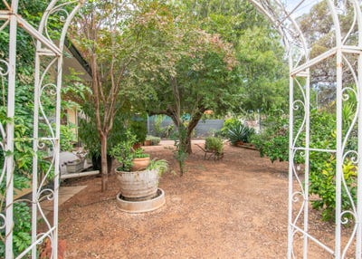 /international/au/5-mckinlay-street-braitling-nt-151199436/