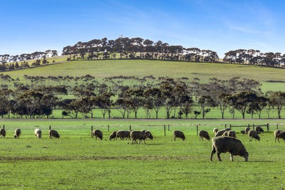 /international/au/2125-barrabool-road-mount-moriac-vic-700366956/?lang=en