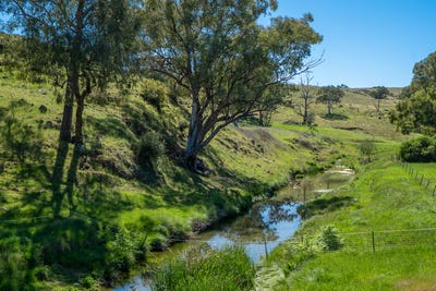 /international/au/1097-davys-plains-road-cudal-nsw-700407408/