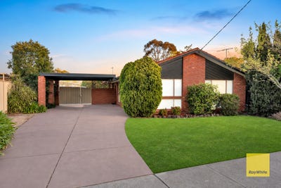 /international/au/19-lamb-grove-hoppers-crossing-vic-152648856/