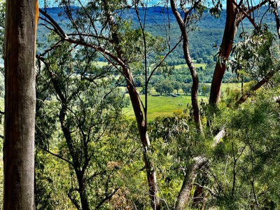 /international/au/lot-12-wolguna-road-wollombi-nsw-700407564/