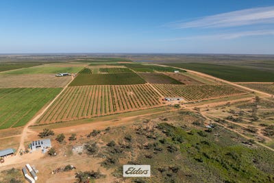 /international/au/135-red-hill-road-wentworth-nsw-700401908/