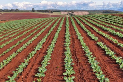 /international/au/384-port-sorrell-road-wesley-vale-tas-700409364/