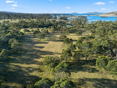 /international/au/38-medora-street-pontypool-tas-204536396/