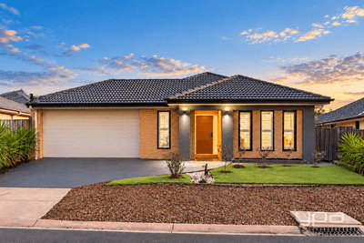 /international/au/24-brindabella-chase-sanctuary-lakes-vic-152579712/