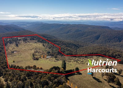 /international/au/336-burders-lane-whitlands-vic-700408936/