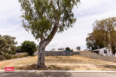 /international/au/60-coronation-street-merredin-wa-204683888/