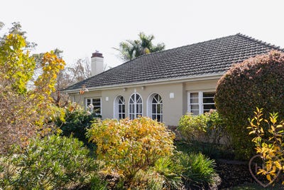 /international/au/7-higgins-crescent-ainslie-act-151145652/