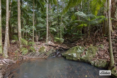 /international/au/374-couchy-creek-road-numinbah-nsw-700400244/