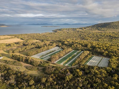 /international/au/8-badger-corner-road-lady-barron-tas-700407588/