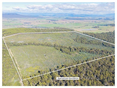 /international/au/lot-1-bradys-creek-road-parkham-tas-700406224/