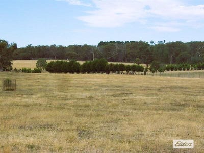 /international/au/lot-4-reilly-drive-elphinstone-vic-700364284/