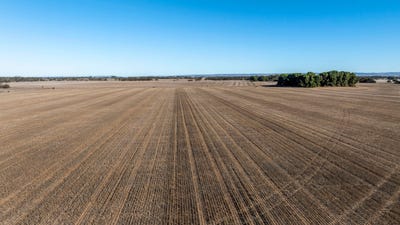 /international/au/lot-401-pioneer-road-angas-plains-sa-700359108/