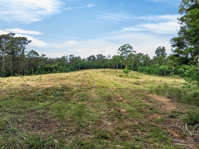 /international/au/lot-62-baxters-ridge-road-gloucester-nsw-700410816/