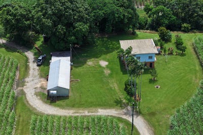 /international/au/962-abergowrie-road-trebonne-qld-700401832/
