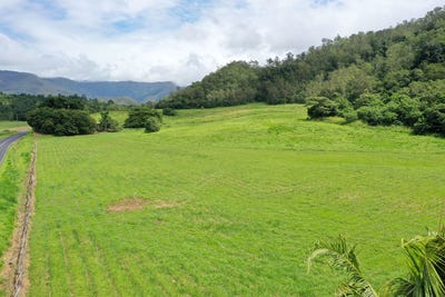 /international/au/gillies-range-road-little-mulgrave-qld-700403912/
